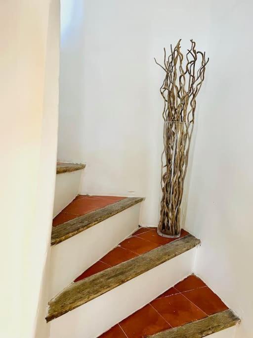 Maison Charmante Avec Terrasse, 2 Chambres มาร์เซย็อง ภายนอก รูปภาพ